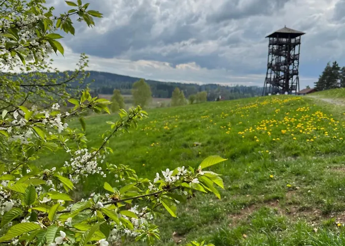 Miedzy Szlakami Апартаменты